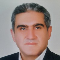 Seyed Amir Hossein Mehvar