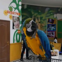 Динара Тенгебаева