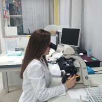 Ledina Mino