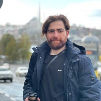 vahid razavi