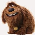 David Gwynn