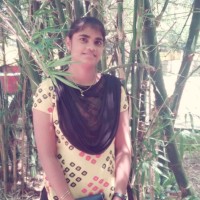 Sindhu Shega