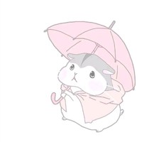 徐梦泽