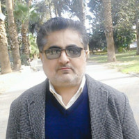 Mohamed Faid Al-Shameri
