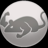 Cat Mouse
