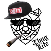 Mister Grizzly TDR