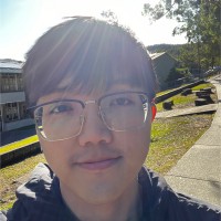 Cuong Hung Luu