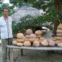 Augusto Joaquim de Carvalho Lança