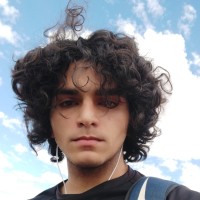 Daniel Araujo Leal