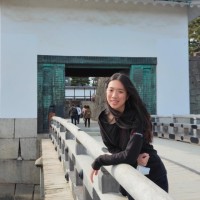 Ann Zhang