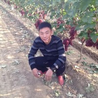 李佳优