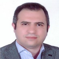 Amin Mirzaei