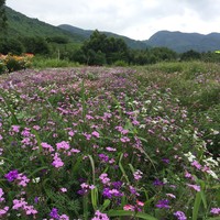 赵昌荣