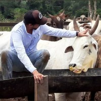 Felipe Torres Sahão