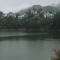 张力丽