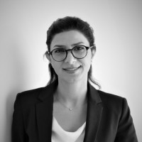 Fatemeh Shahani, Phd