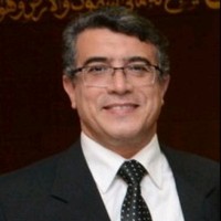 aly elashram