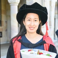 Le Hong Vu