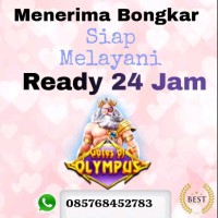 AGEN JUAL BELI CHIP domino