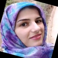 Narjes Shafiei