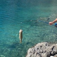 Ethan W