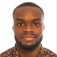 Michel Jeffrey Ngapanoun