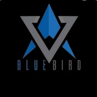 Bluebird Engineering And Construction Co.