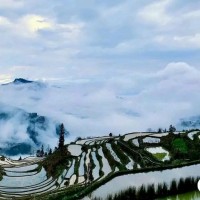 杨浩龙