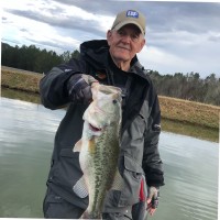 Larry Cook