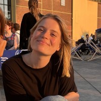 Lies De Lameillieure