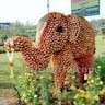 pradeepa T