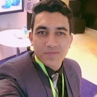 Essam Ezz