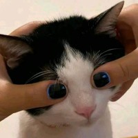 刘泽浩