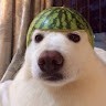 N Myo