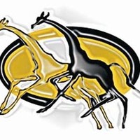 Girafrica Solutions