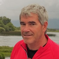 CARLES PONGILUPPI GRAU