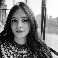 Reem Salah El-Din