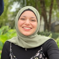 Rasha Noureddine, Ph.D.