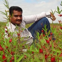Chiranjeevi Thirupathi