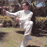 Cheng Kong