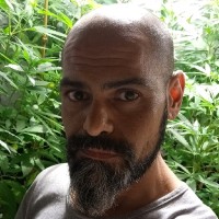 jorge luis