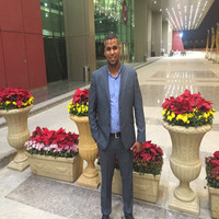 sherif fathy