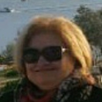 Sebnem Tellioglu Harsa