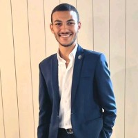 Bavly Essam, FMVA®,BIDA®