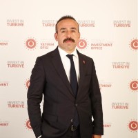 Bülent İnam