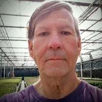 John Woodman