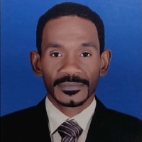 sayed Hassan