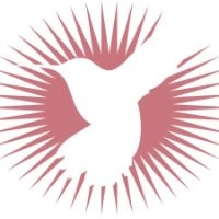 Fly Free Media