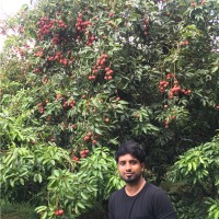 Monir Hossain