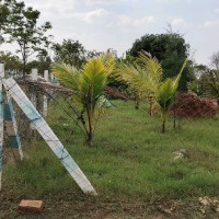 Farmland Agriculture Land